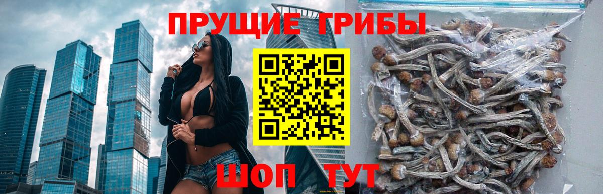 Тихорецк  Галлюциногенные грибы прущие грибы  Вход с VPN  Псилоцибиновые грибы Magic Shrooms 